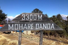 Mohara Danda (3,300m)